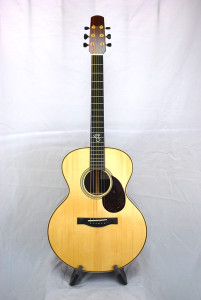 Santa Cruz F Custom front