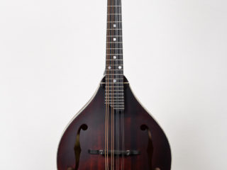 Eastman MD-305