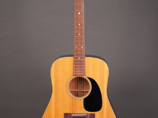 Martin D-18 (1973)