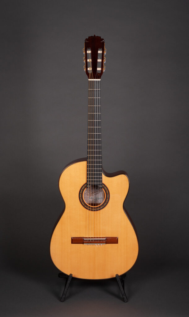 GuitarVista » Pimentel Custom Cutaway DLX (2015)