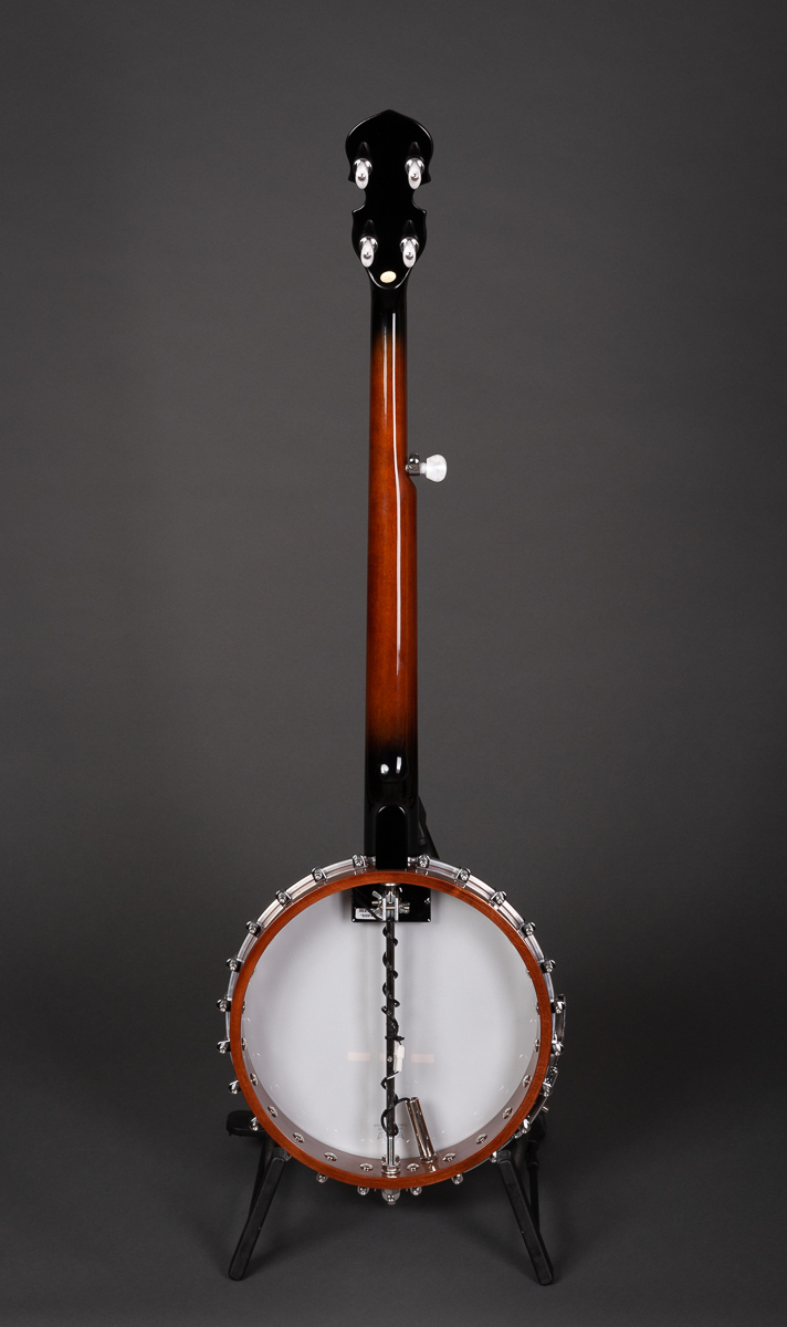 Gold Tone CC 100+ w/ pickup