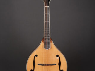 Bourgeois M5A Mandolin
