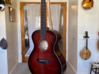 Breedlove Manzanita