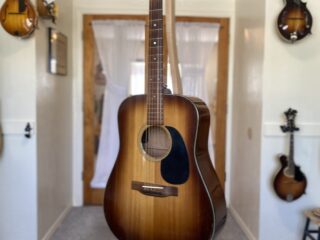 Martin Sunburst D -18
