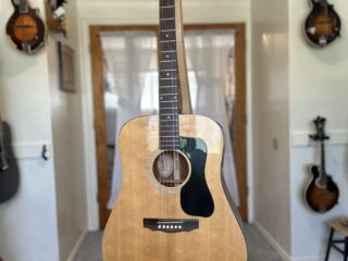 Guild D-35 NT