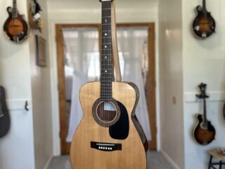 Pimentel Steel String