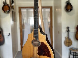 Vega Mandocello