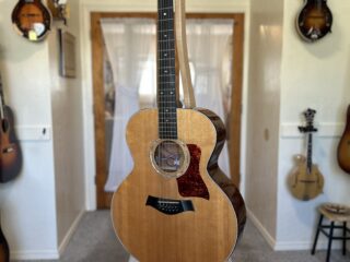 Taylor 555