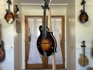 The Loar LM 500 VS